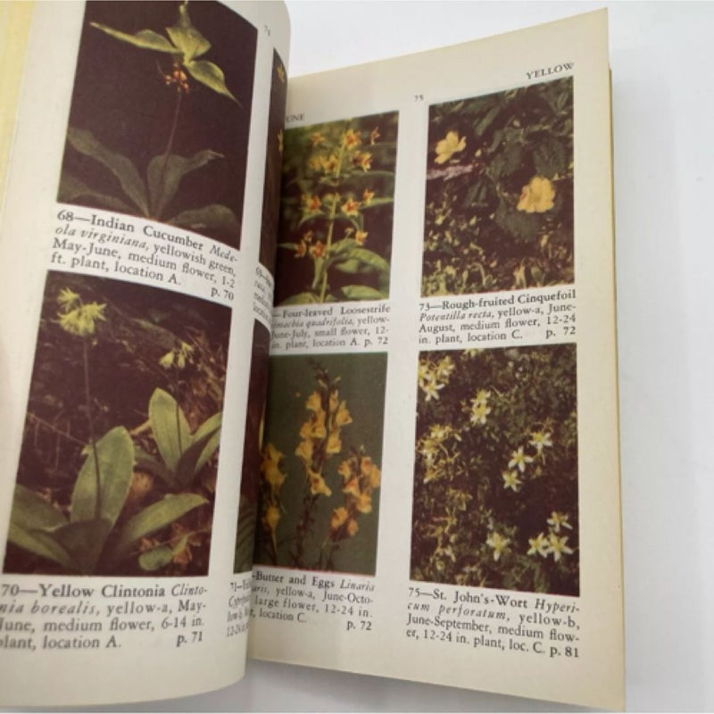 The Field Guide to Wildflowers 