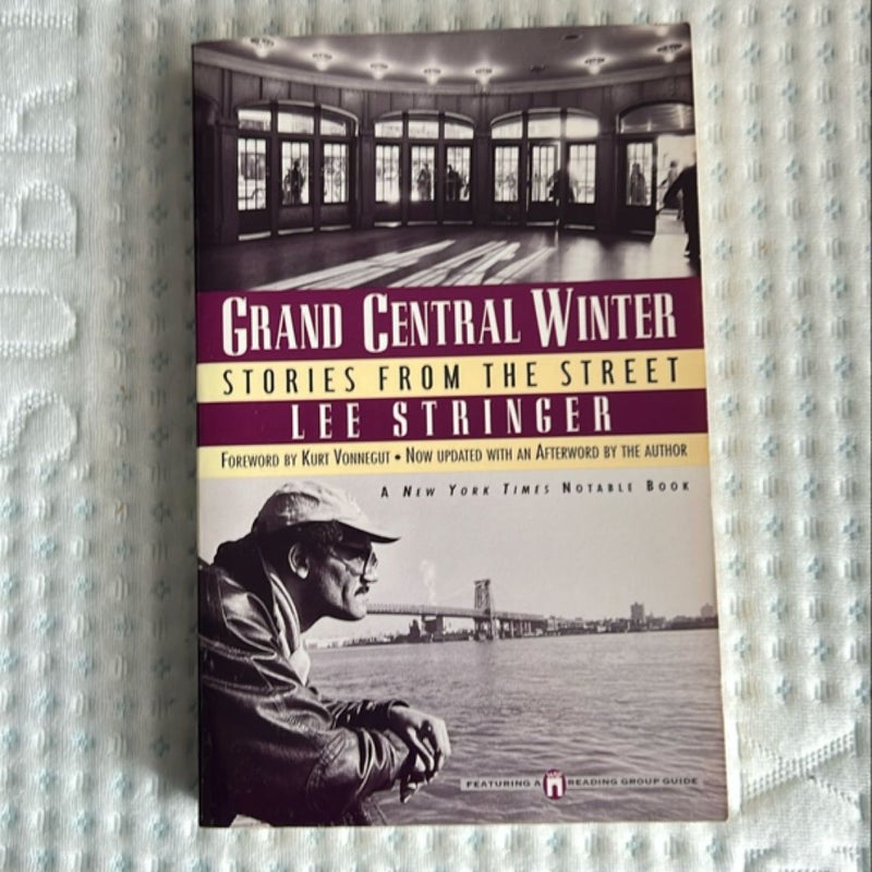 Grand Central Winter