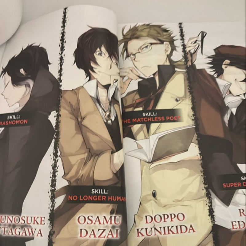 Bungo Stray Dogs, Vol. 1 (light Novel)