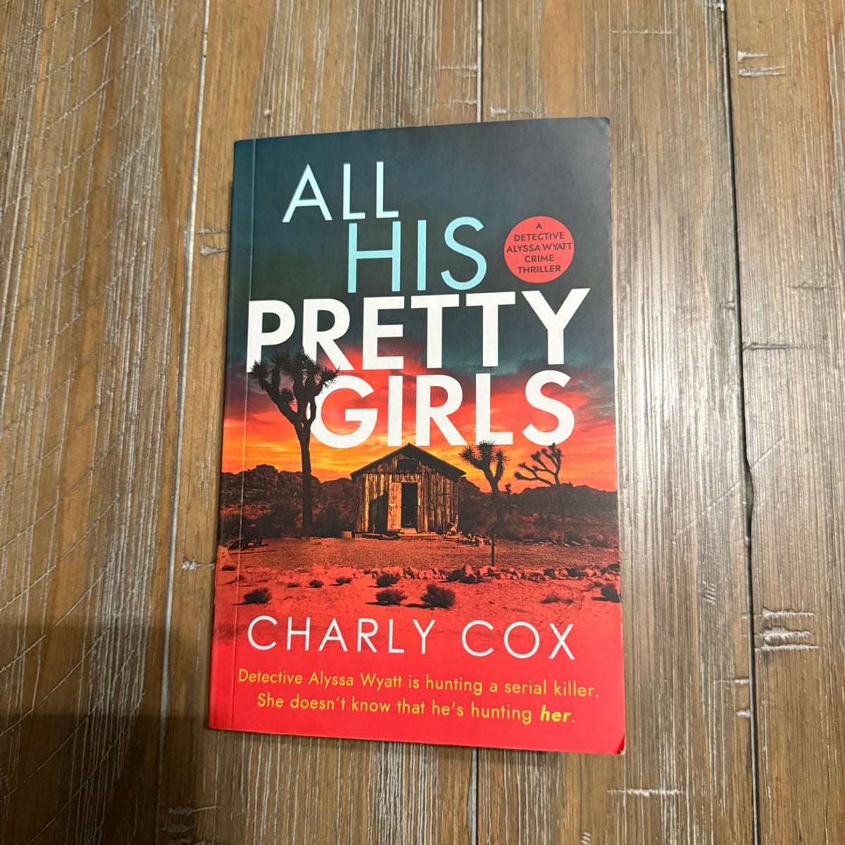 All His Pretty Girls by Charly Cox