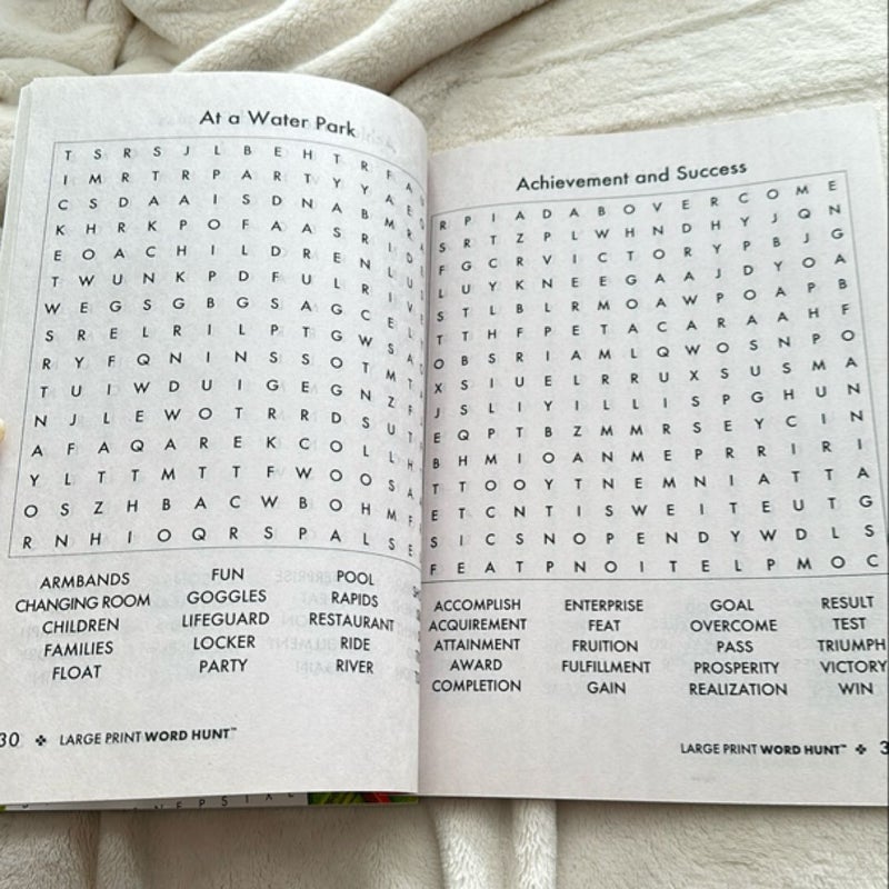Large Print Word Hunt 