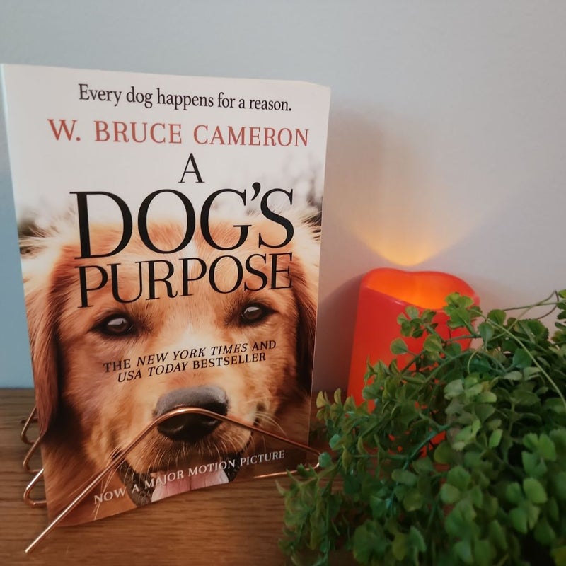 A Dog's Purpose