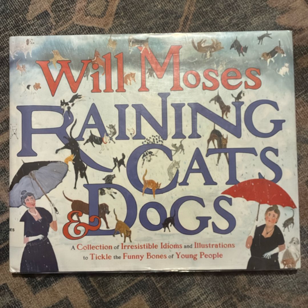 Raining Cats and Dogs