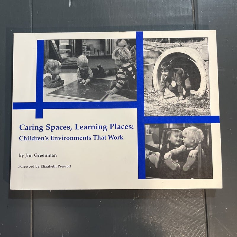 Caring Spaces, Learning Places 1988