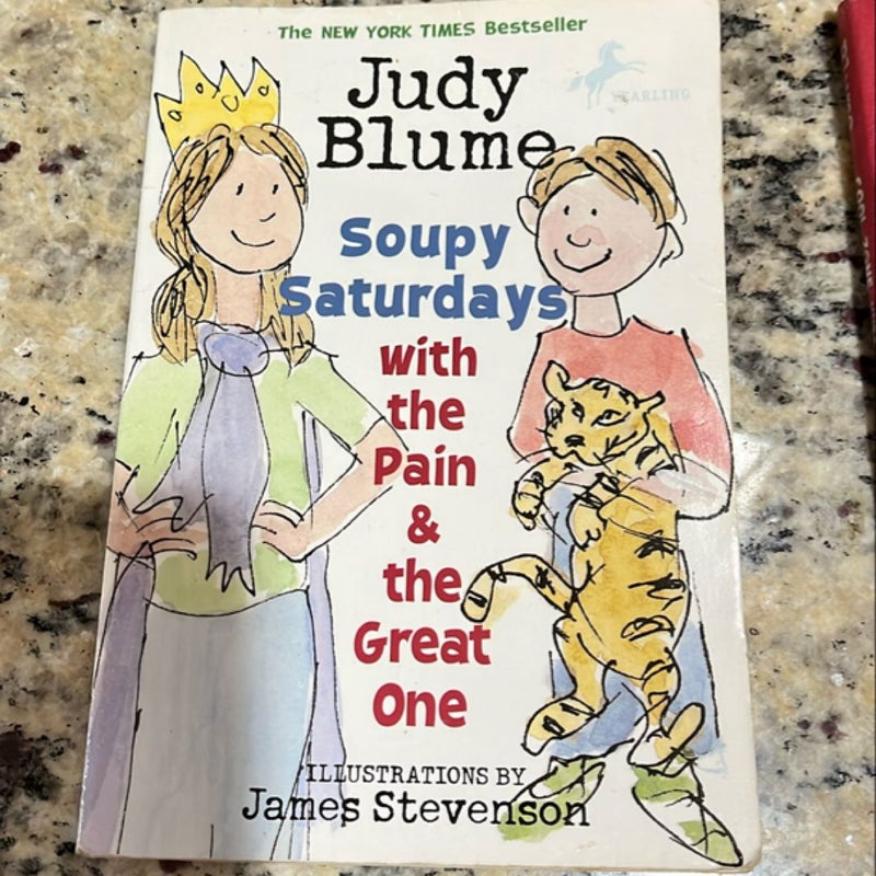 Judy Blume the pain and the great one books