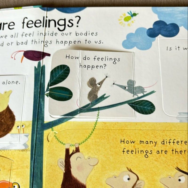 Lift-The-Flap First Questions and Answers What Are Feelings?