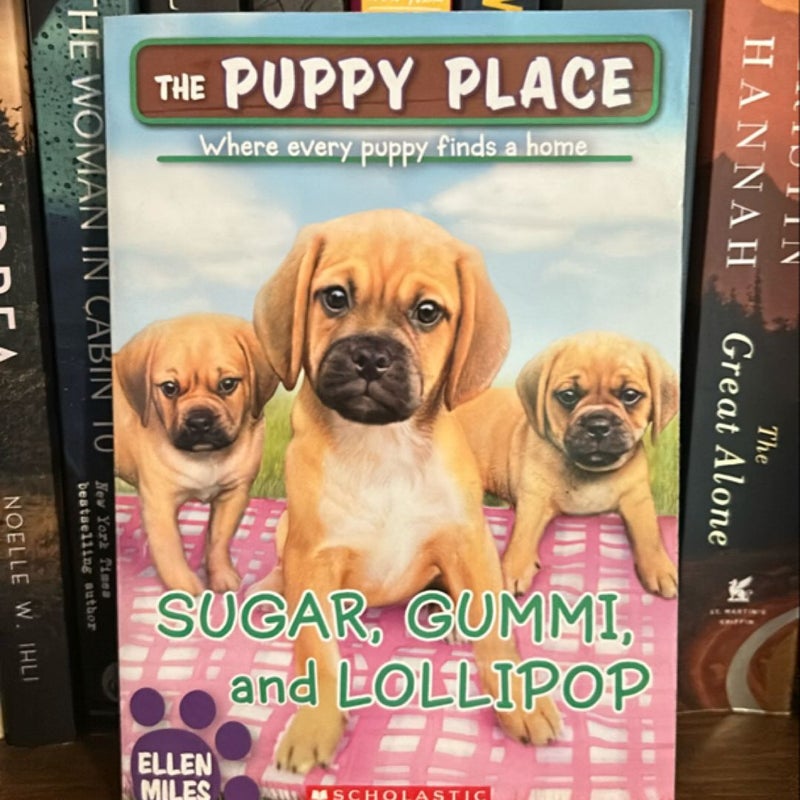 Sugar, Gummi and Lollipop