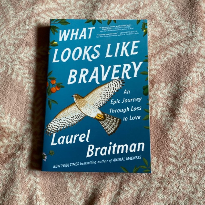 What Looks Like Bravery
