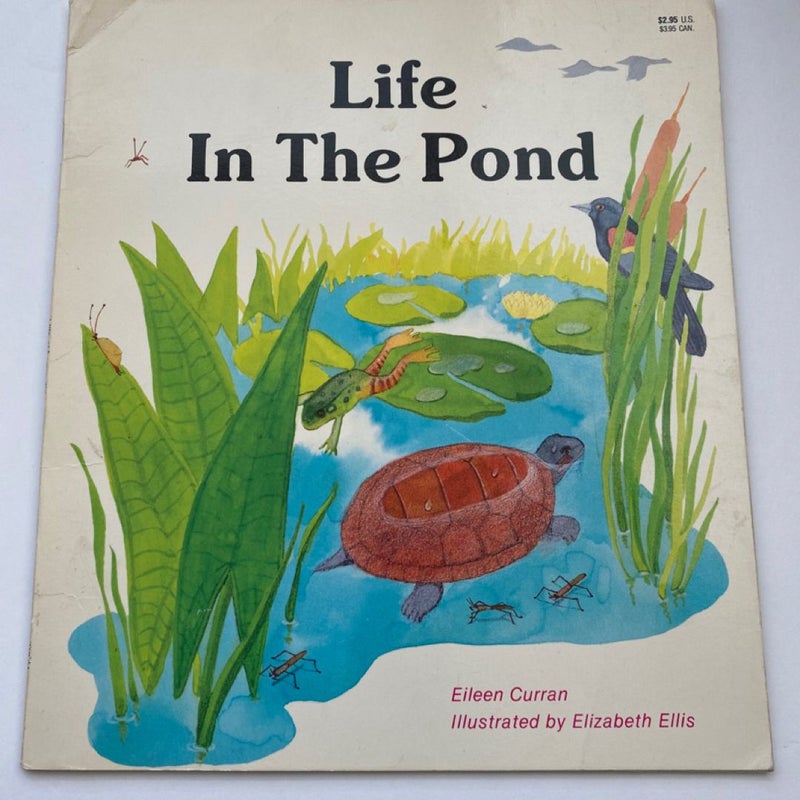 Life in the Pond