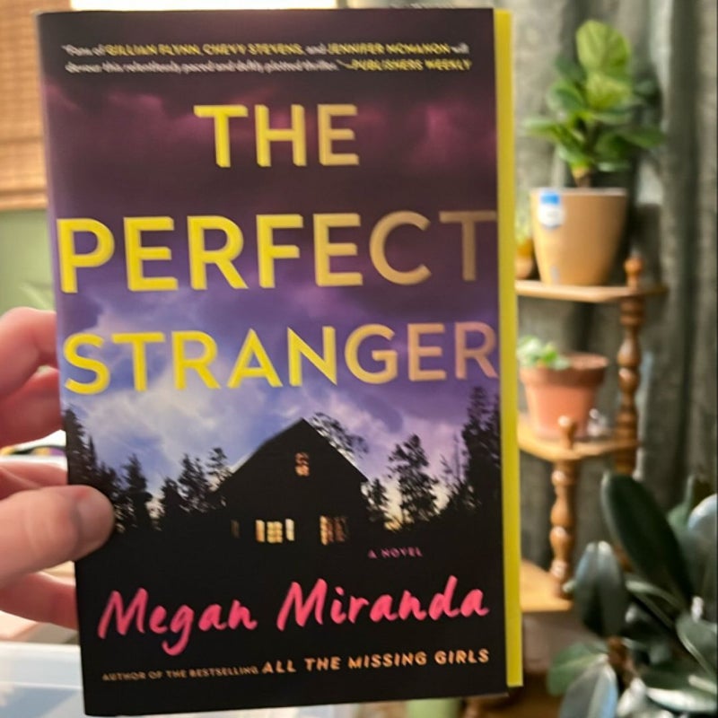 The Perfect Stranger