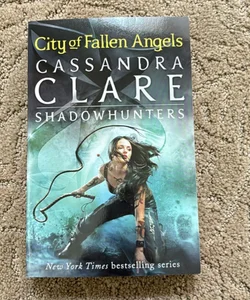 City of Fallen Angels