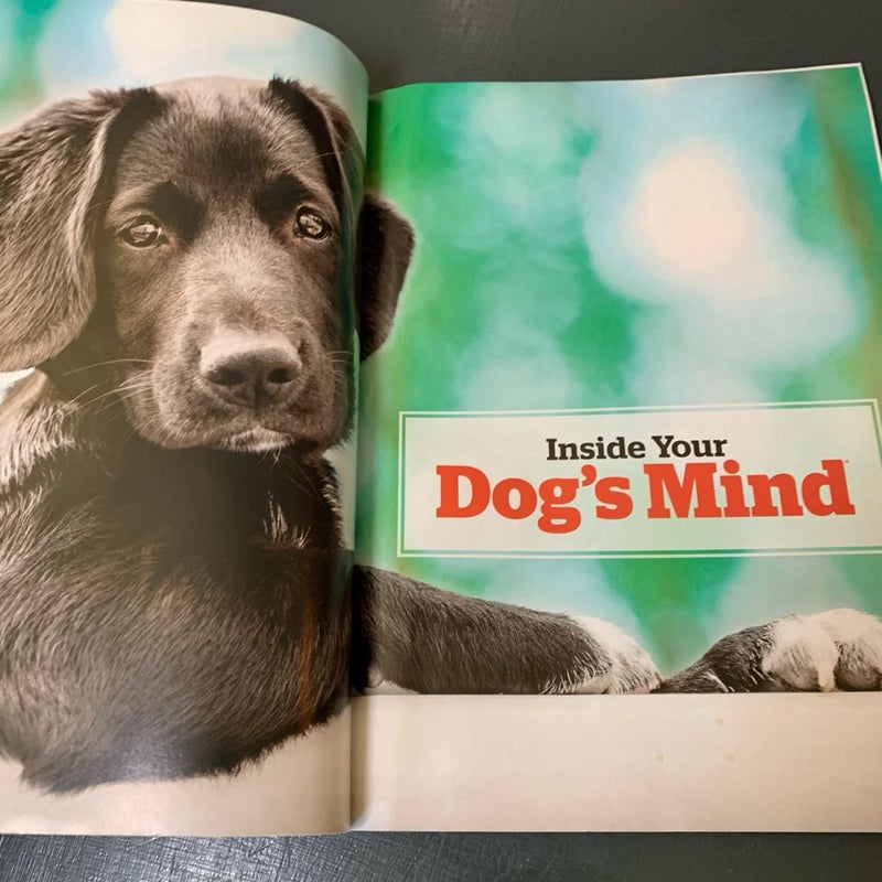 Inside Your Dog’s Mind