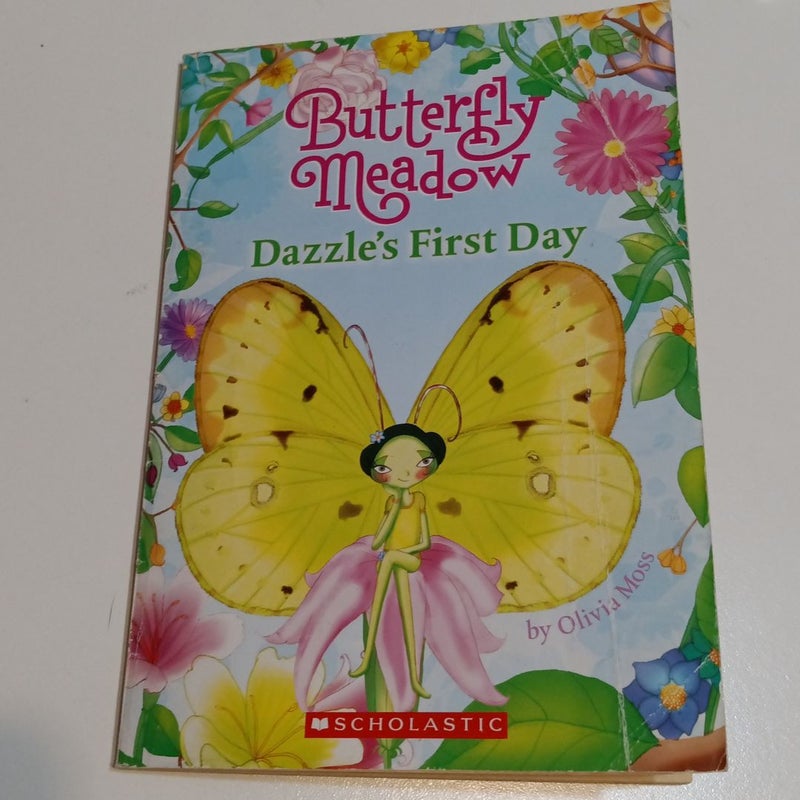 Dazzle's First Day   (B-0242)
