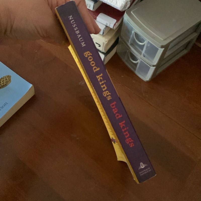 Good Kings Bad Kings