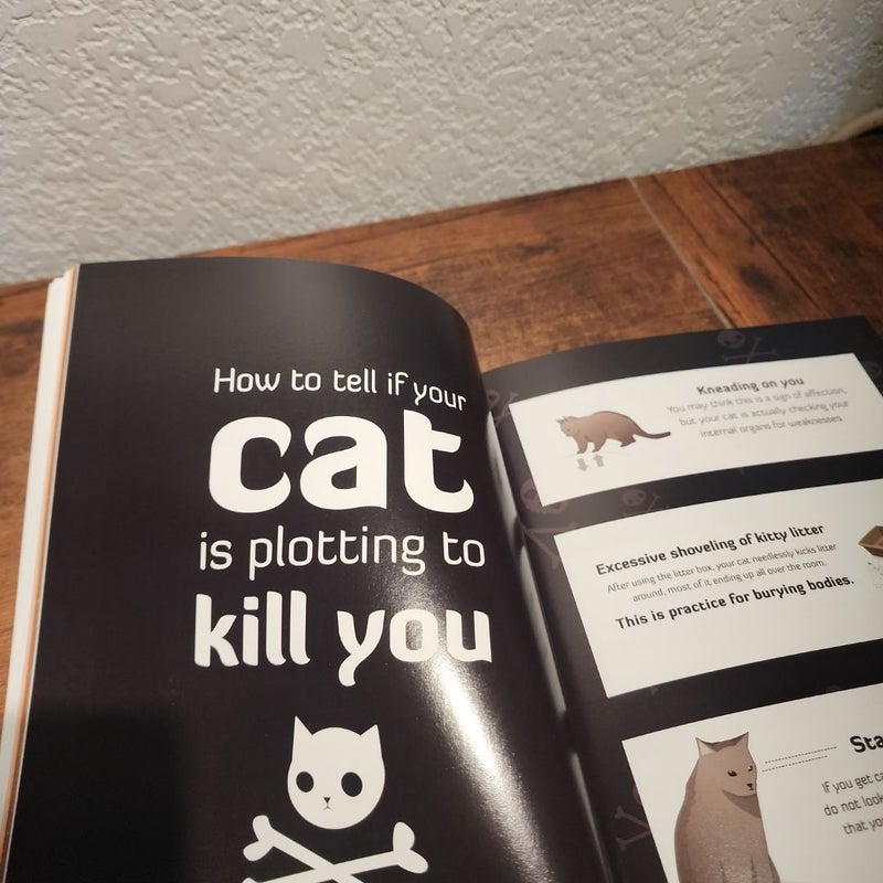 How to Tell If Your Cat Is Plotting to Kill You