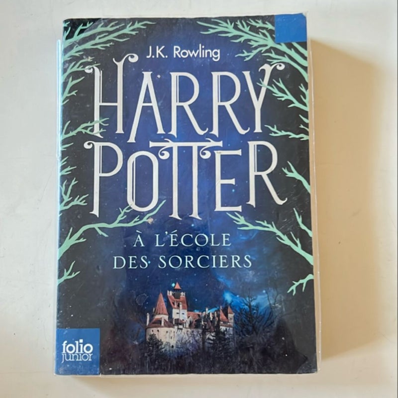 Harry Potter a l'Ecole des Sorciers