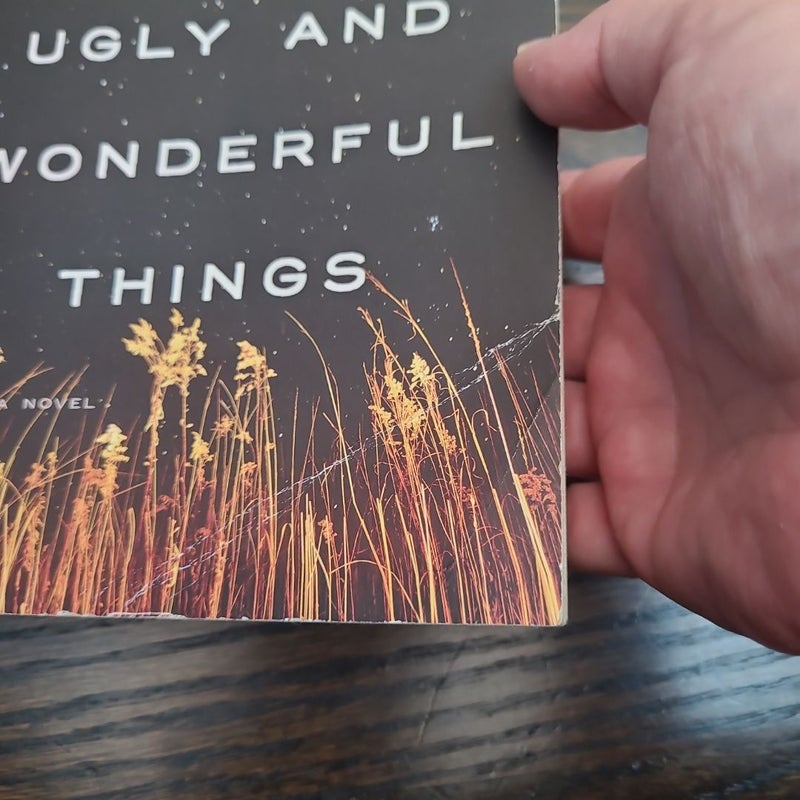 All the Ugly and Wonderful Things