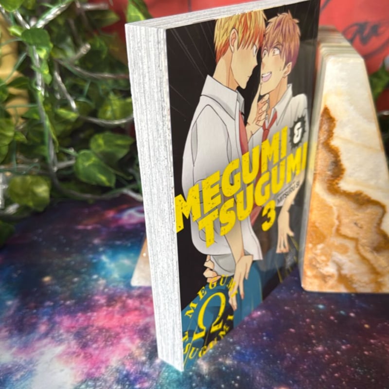 Megumi and Tsugumi, Vol. 3
