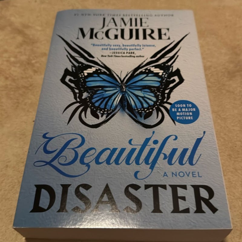 Beautiful Disaster