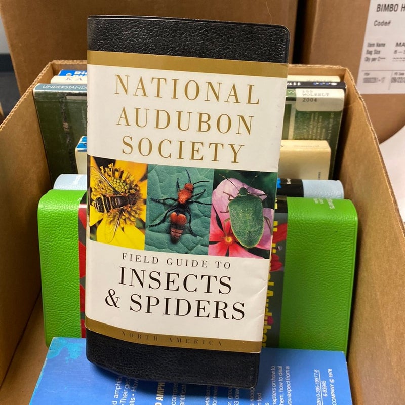 National Audubon Society Field Guide to Insects and Spiders