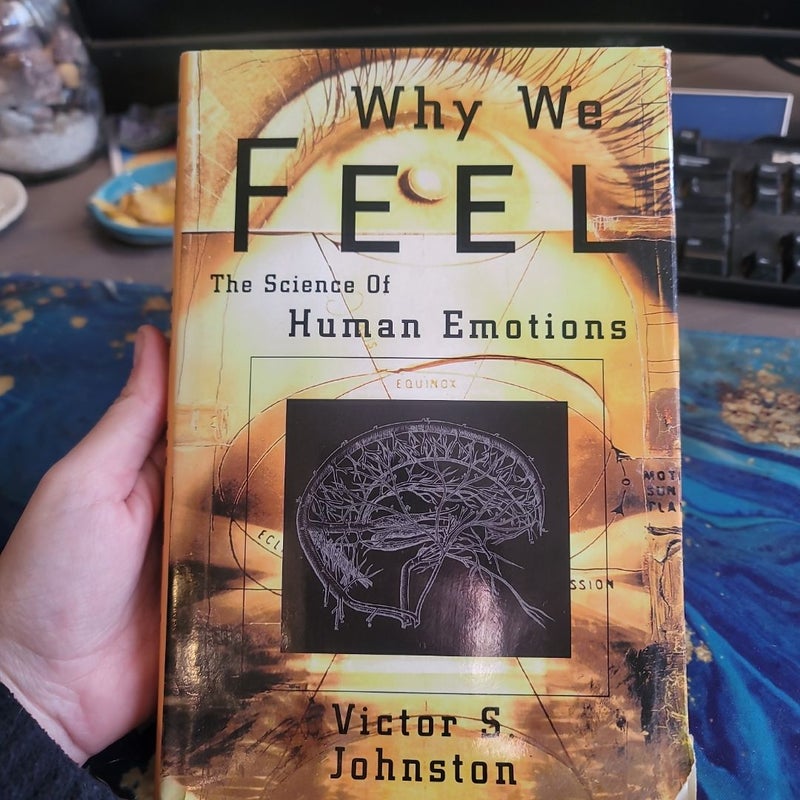 Why We Feel