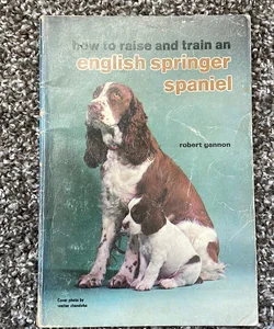 How to Raise and Train an English Springer Spaniel