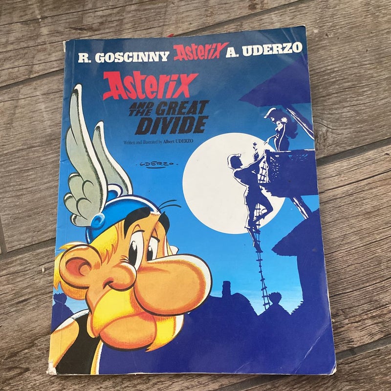 Asterix: Asterix and the Great Divide