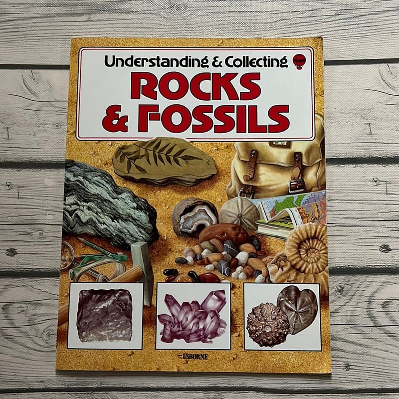 Rocks and Fossils