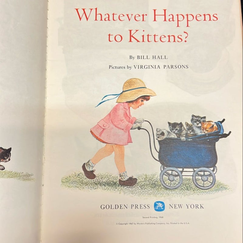 Whatever Happens to Kittens? 