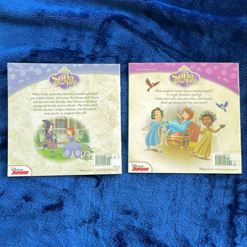 BOOK BUNDLE: Sofia the First a Magical Match and Sofia the First The Royal Slumber Party