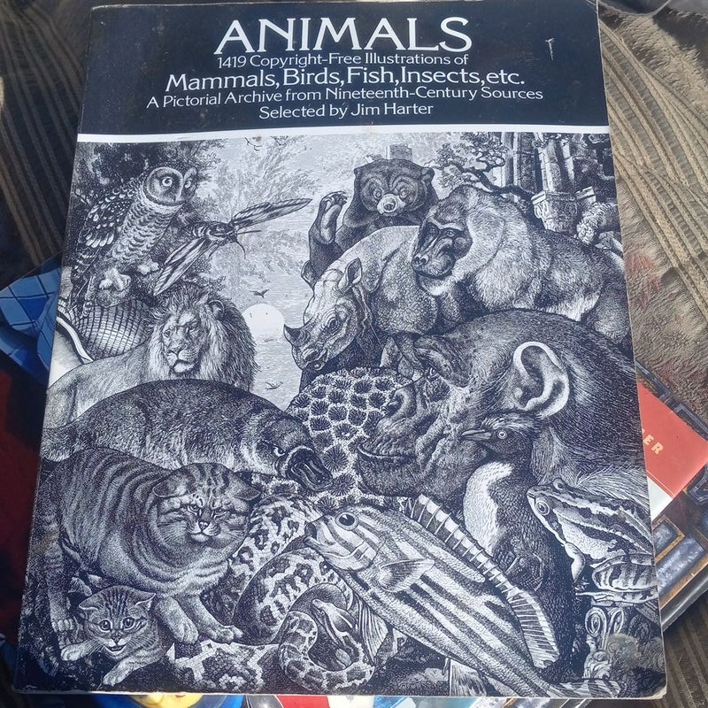 Animals