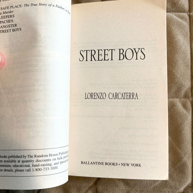 Street Boys 2075