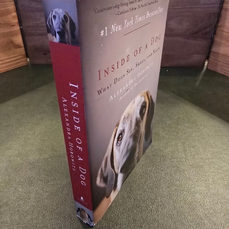 Inside of a Dog