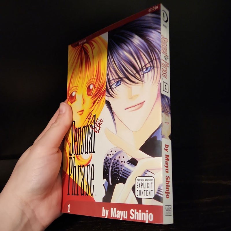 Sensual Phrase Manga Bundle Vols 1,5,6,7,12,13