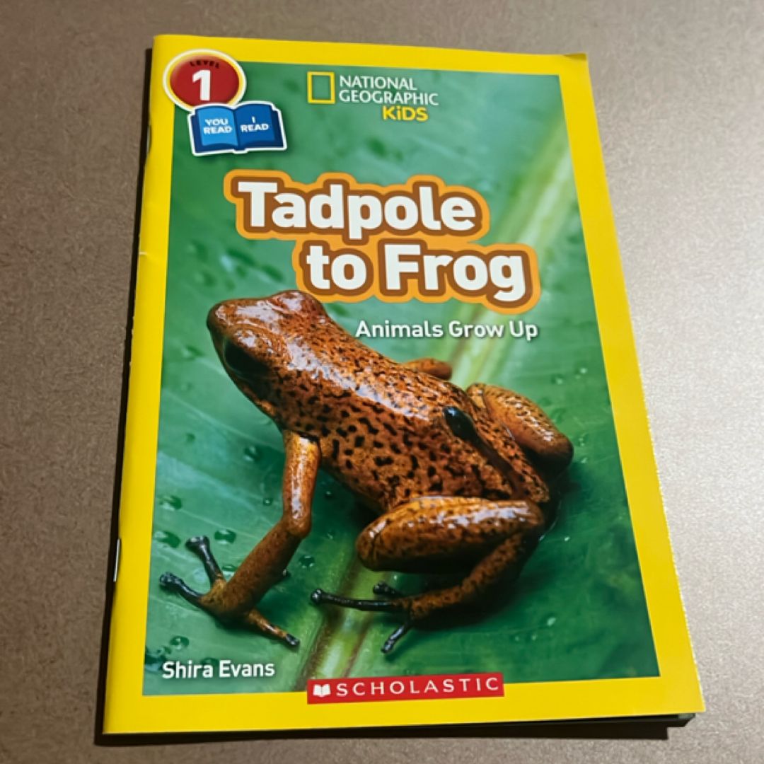 Tadpole to Frog