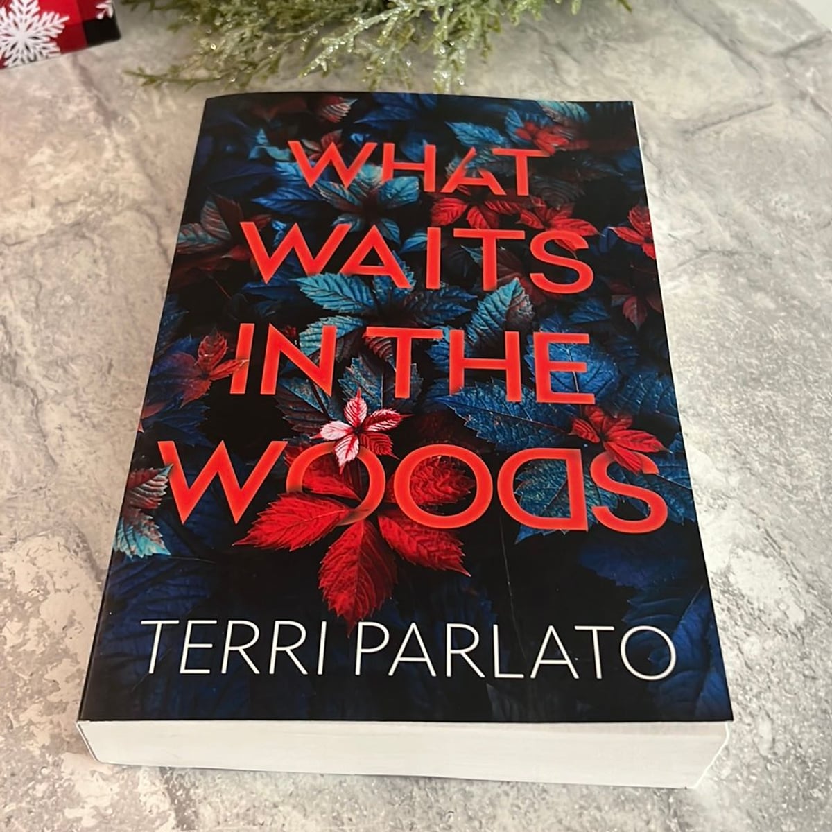What Waits In The Woods by Terri Parlato, Paperback Pangobooks