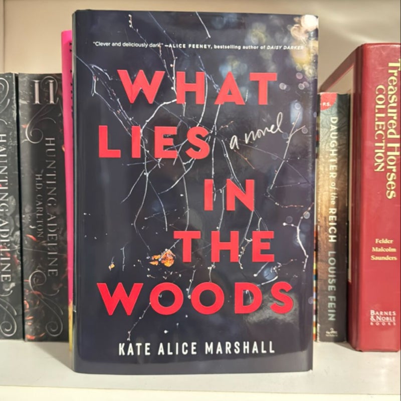 What Lies in the Woods