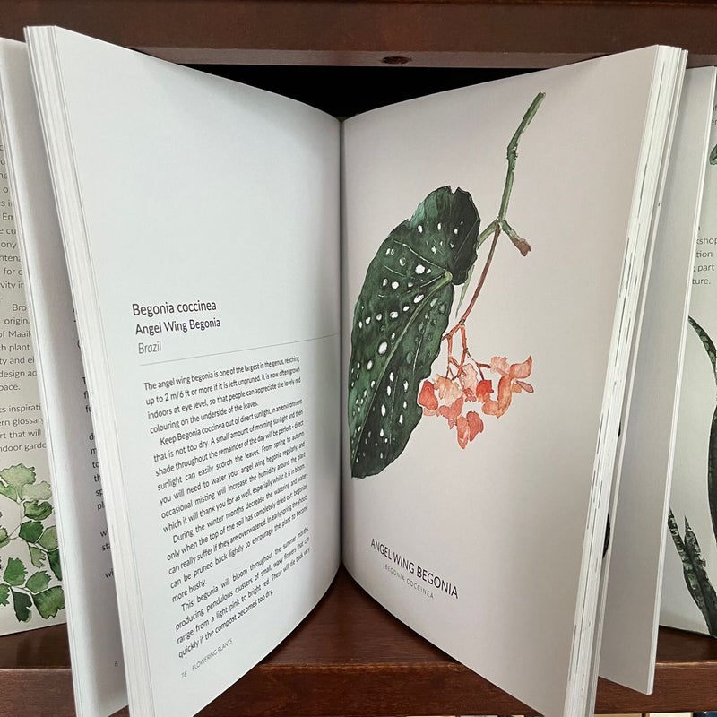 Urban Botanics