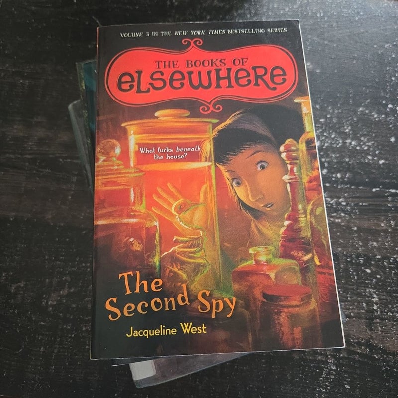 The Second Spy