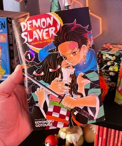 Demon Slayer: Kimetsu No Yaiba, Vol. 1