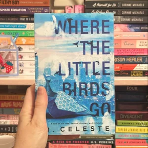 Where the Little Birds Go