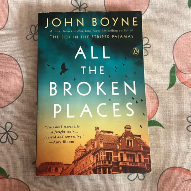 All the Broken Places by , Paperback | Pangobooks