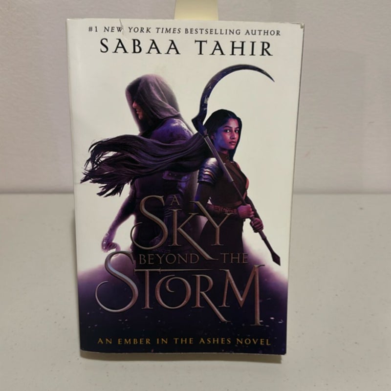 A Sky Beyond the Storm