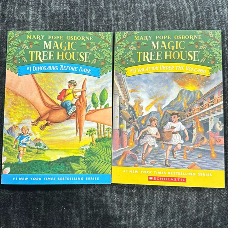 Bundle: Magic Tree House 