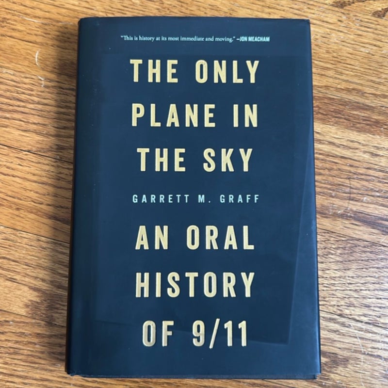 The Only Plane in the Sky
