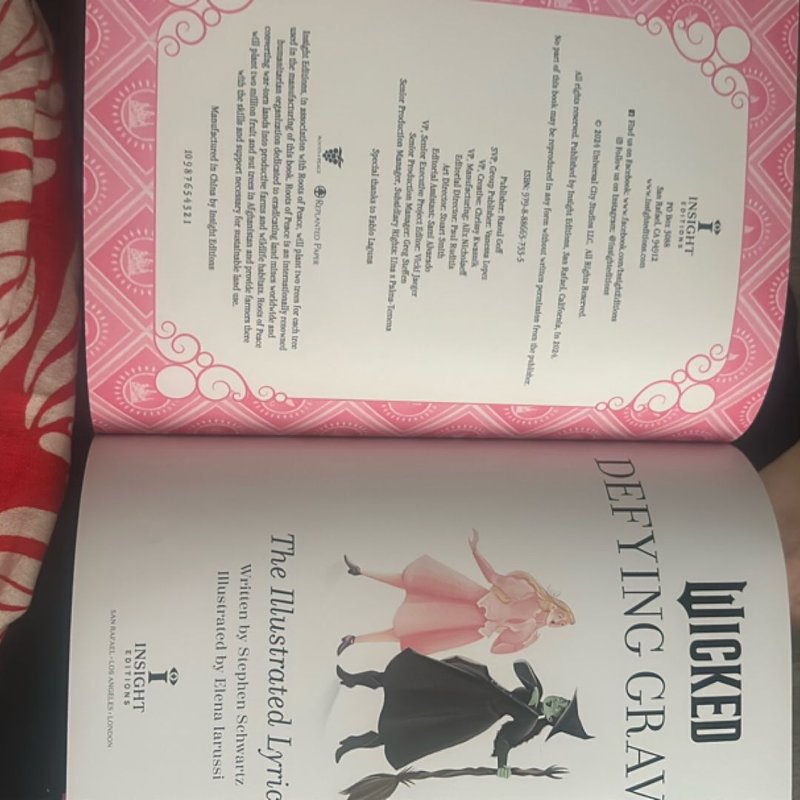 Wicked: Defying Gravity