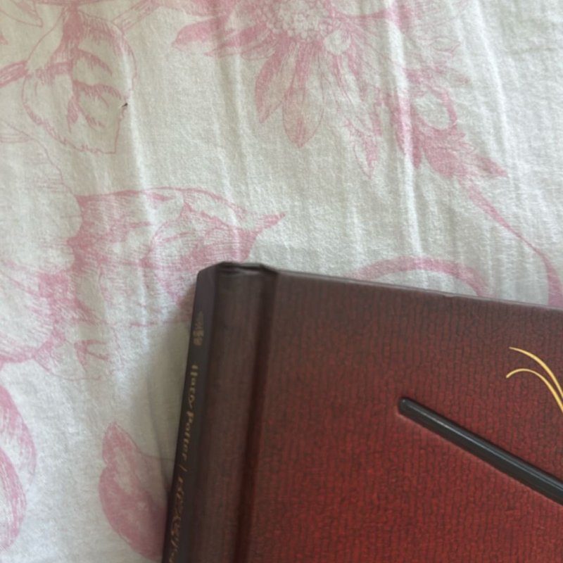 Harry Potter and Fantastic Beasts: the Wands of the Wizarding World