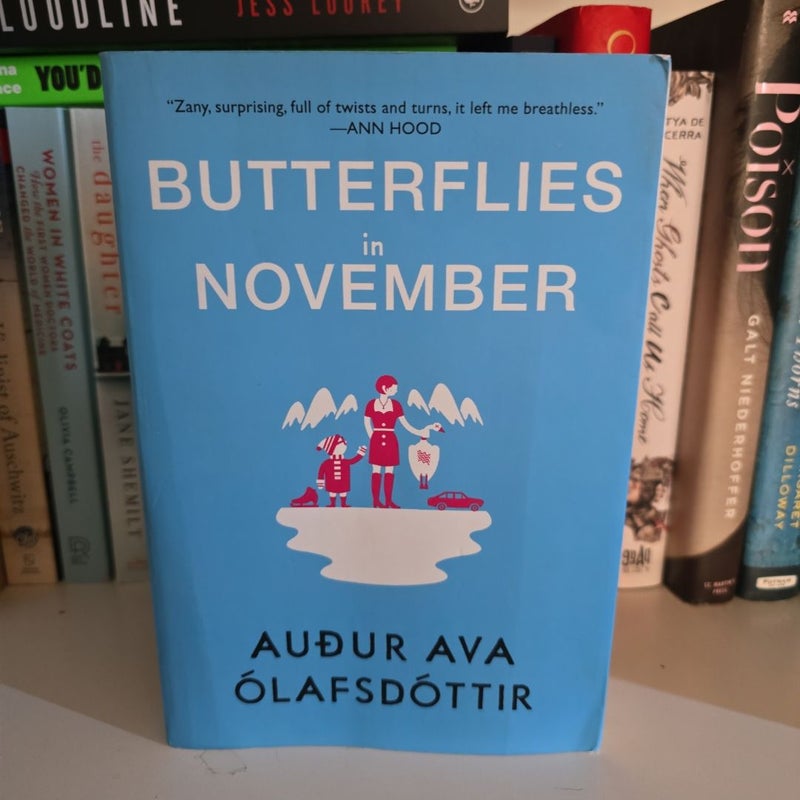 Butterflies in November