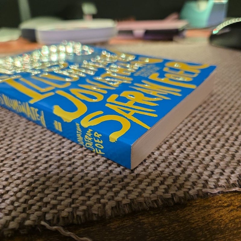 Everything Is Illuminated