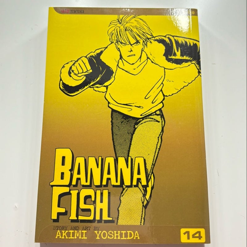 Banana Fish, Vol. 14